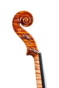 Violino Conia Testa