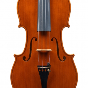 Violino di Davide Negroni